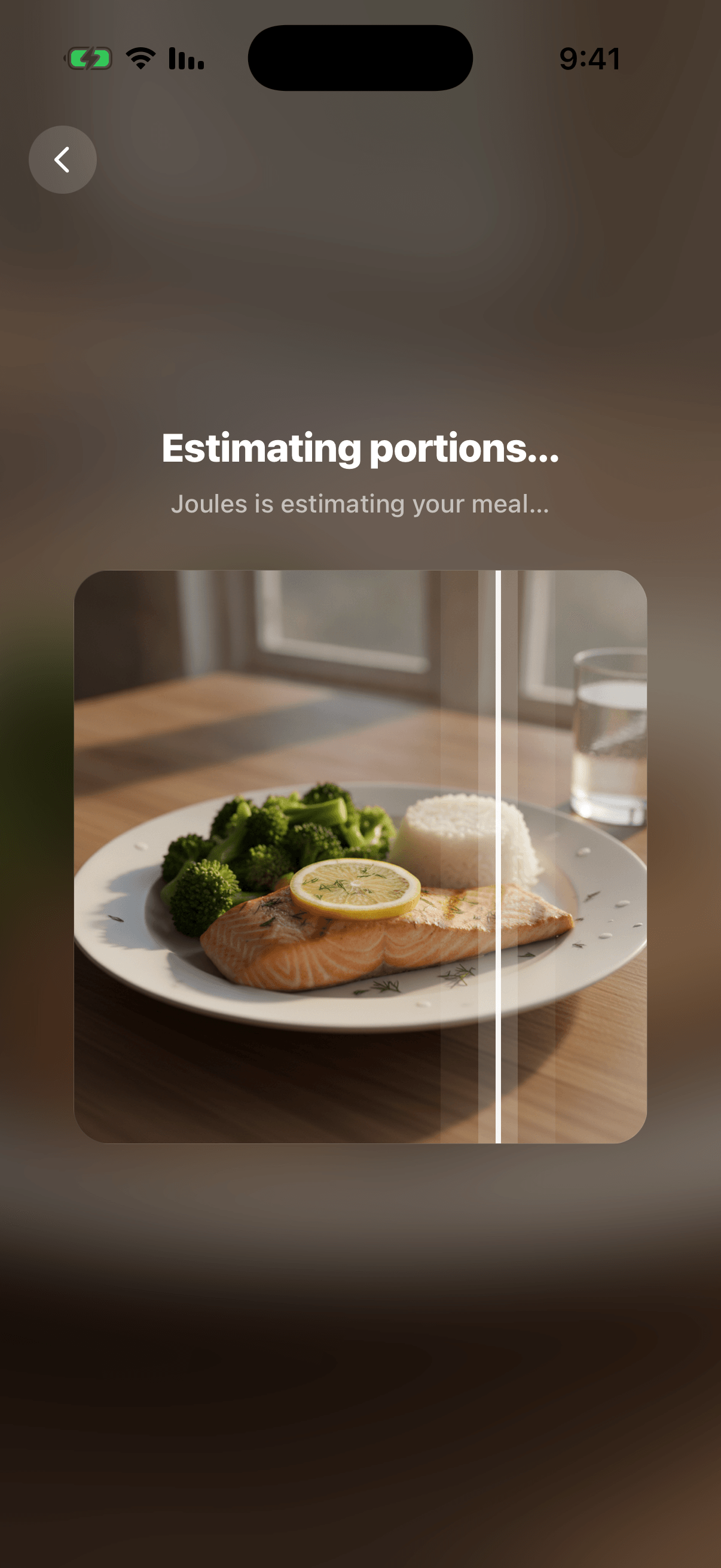 AI photo food scan