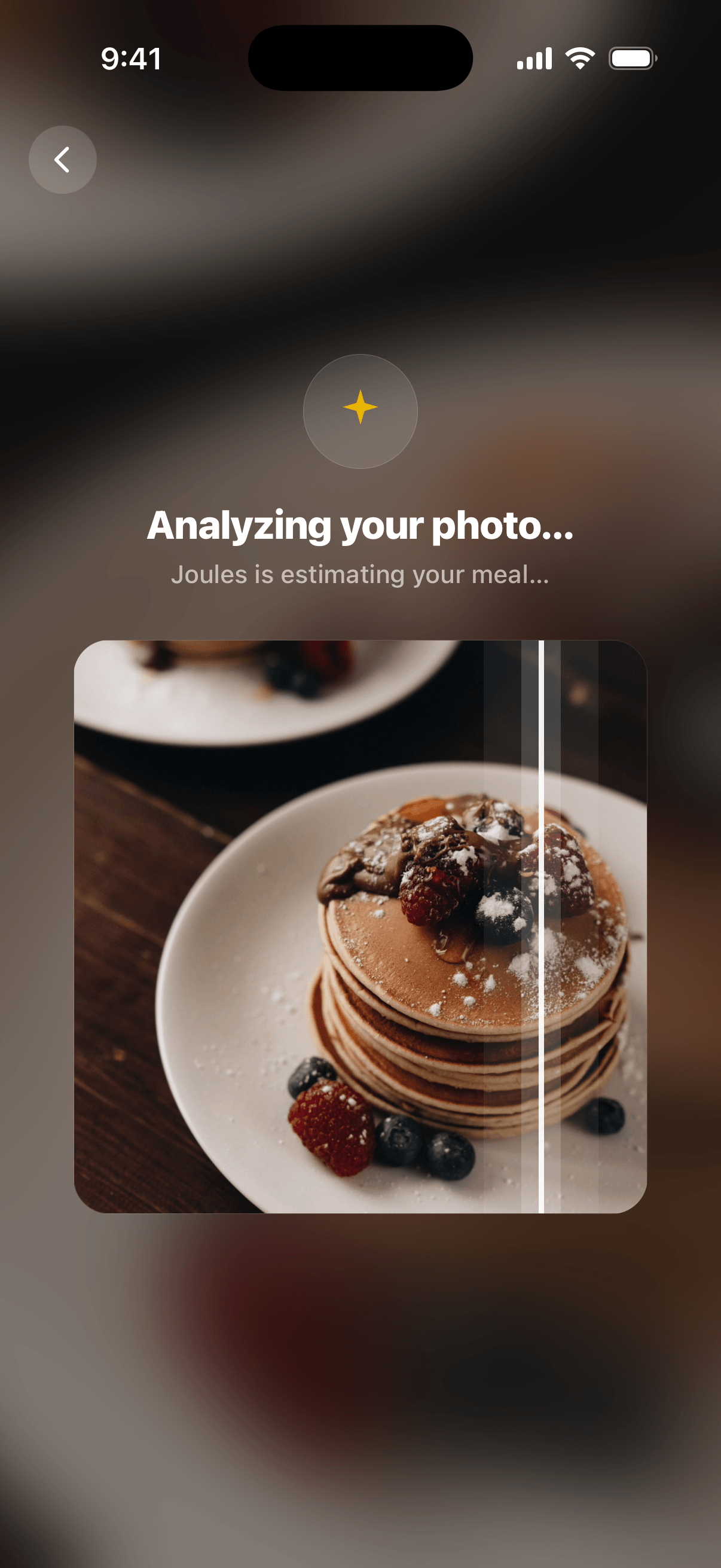 AI photo food scan