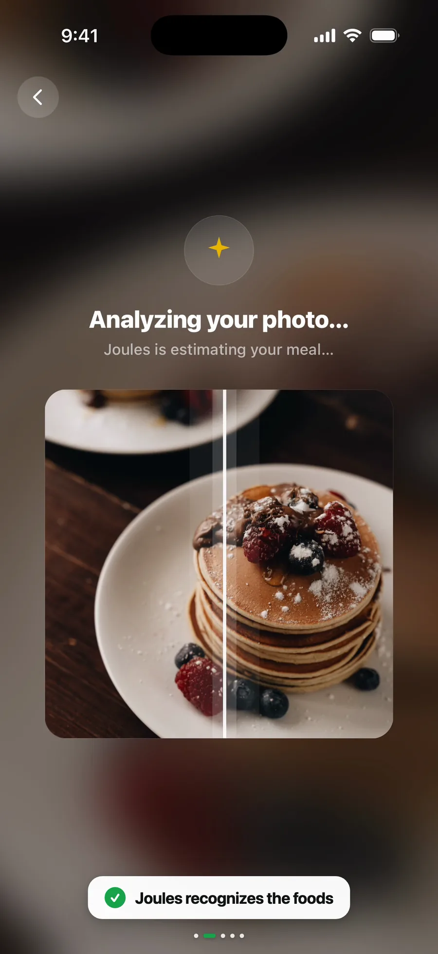 Joules analyzing a breakfast plate from a photo